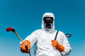 Best Outdoor Pest Control  in Holt, AL